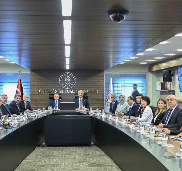Sivas Turizm Master Planı ve Sivas Turizm Geliştirme Eylem Planı
